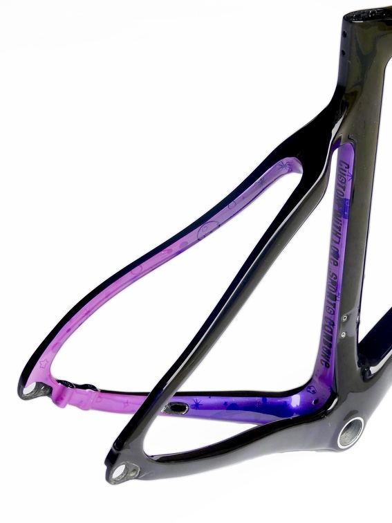 Cadre Pinarello NASA