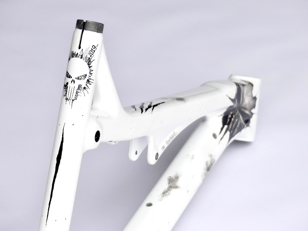 Cadre Intense Punisher