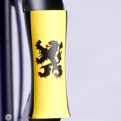 Lion des Flandres